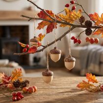 Article Gland pour décoration à suspendre automne naturel/marron 5,3x3,5cm 12 pièces