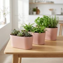 Article Bol à plantes ovale décoratif en plastique rose marron 20×10×11cm 3pcs