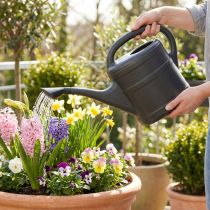 Article Arrosoir 5 l anthracite