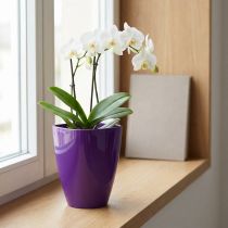 Article Pot à orchidées, brillant, Ø12,5 cm, violet