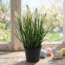 Article Déco crème de muscari en pot 26cm