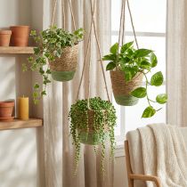 Article Panier suspendu, panier naturel, jardinière suspendue, couleurs naturelles, vert, Ø 19/17/15 cm, lot de 3
