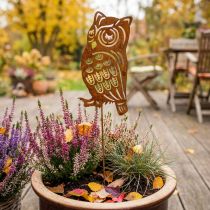 Article Piquet de jardin rouille chouette métal patine cheville 19cm