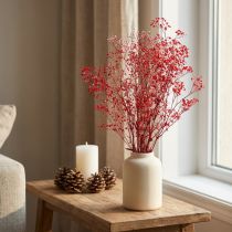 Article Gypsophile Gypsophile Fleurs Séchées Rouge 50cm 55g