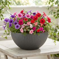 Article Jardinière plastique anthracite Ø35cm H16,5cm