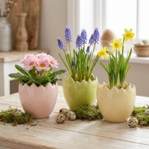 Article Pot de fleurs en forme d'œuf à bord irrégulier pour une décoration originale sur rebord de fenêtre ou table, 9 cm, lot de 3