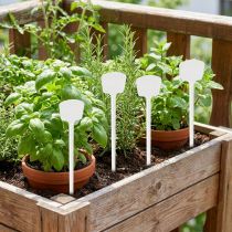 Article Etiquette plante 32cm 10pcs.