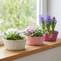 Article Panier à chips rond violet/blanc/rose Ø25cm 6 pcs
