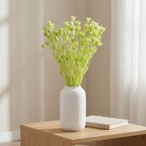 Article Fleurs de nigelle séchées, charmante décoration naturelle pour la maison, 70 cm, 50 g