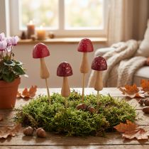 Article Tuteurs à fleurs, motif champignon, en bois, rouges, Ø 2,5 cm, lot de 8