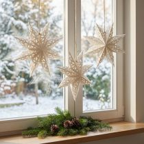 Article lot de 6 étoiles suspendues en papier blanc Ø20cm motif flocon de neige