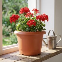 Article Cache-pot « Oliver » terre cuite Ø20cm