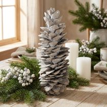 Article Pommes de pin à sucre blanchies à la chaux 20cm - 30cm