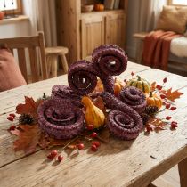 Article Palmier mâle rouge, blanchi à la chaux 25 pièces