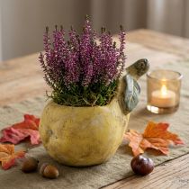 Article Jardinière décorative en béton poire décoration automne 19×12,5×15,5cm