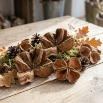 Article Landlotus Nature 50 pièces