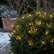 Article Filet lumineux d'extérieur pour buis, guirlande lumineuse avec 60 LED, Ø35cm