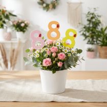 Article Chiffre d'anniversaire "8" bouchon numéroté coloré en bois 7,5cm 16 pièces