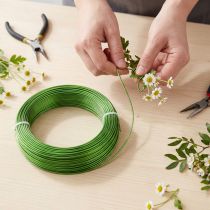 Article Fil d'aluminium Ø2 mm, vert mai, 60 m, 500 g, fil décoratif, fil pour bijoux, fil pour loisirs créatifs