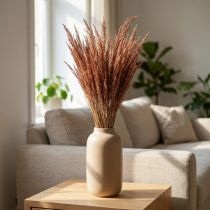 Article Herbe courbée rouge Agrostis Herbe sèche rouge brun 65cm 80g