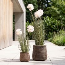 Article Fleurs artificielles boule décorative fleur allium oignon ornemental artificiel 54cm