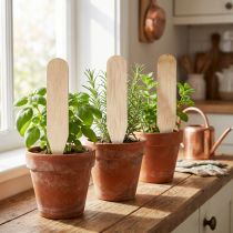 Article Piquets de jardin piquets de lit en bois pour herbes &amp; Co 10cm 12pcs