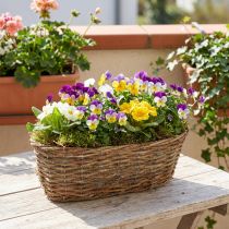 Article Panier de plantation ovale, motif de vigne, plateau de plantation naturel, 30 cm de long