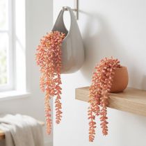 Article Sedum 'Rubin' plante suspendue – succulente décorative et facile d'entretien 43cm 3pcs.