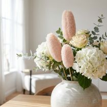 Article Grand luffa sur bâton, blanchi, 25 pièces