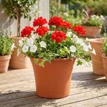 Article Pot « Irys » plastique terre cuite Ø22cm H18cm 1 pce