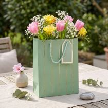 Article Sac cadeau vert clair rayures dorées 18×10×23cm 1 pce