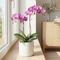 Article Tuteur pour orchidées en treillis rose Twister 38 cm