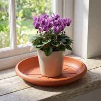 Article Soucoupe « Linda » Ø18cm en terre cuite
