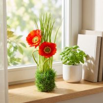 Article Rouge coquelicot dans l'herbe 23cm