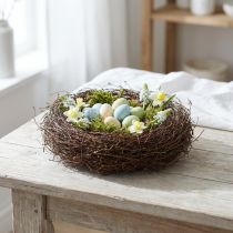 Article Matière végétale de vigne de Mühlenbeckia, environ 1 kg, naturelle