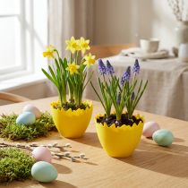 Article Coquetiers Ø17cm 20 pcs jaune