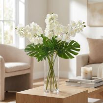 Article Orchidée Crème-Blanc L57cm 6 pcs