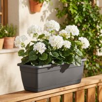 Article Buisson de géranium blanc 38cm