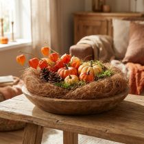 Article Matériau de remplissage pour compositions florales, fibres décoratives, fibre de palmier de Palmyre, pot de 1 kg
