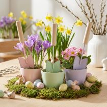 Article Pelles décoratives couleurs assorties 14cm 9pcs