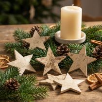 Article Noix de coco Star Nature 5cm 50pcs