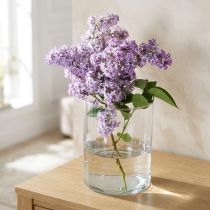 Article Vase en verre transparent cylindrique Ø12cm H20cm