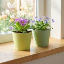 Article Pot en papier, mini cache pot, cache pot bleu/vert Ø9cm H7.5cm 4pcs