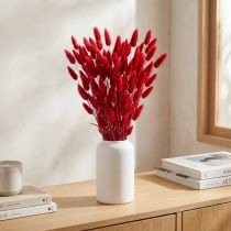 Article Queue de lapin (Lagurus) rouge séchée 60 cm 50 g Décoration florale séchée