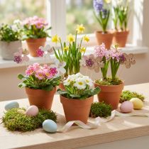 Article Bouchons fleur bois fleur papillon coloré Ø10cm 12pcs