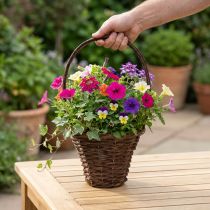 Article Panier avec anse, panier de plantation rustique Ø24×H18cm