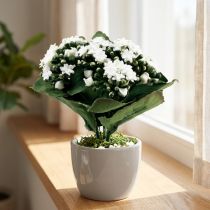Article Kalanchoe artificiel Flaming Käthchen Blanc 24cm