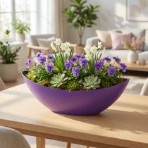 Article Bol décoratif bateau à plantes violet 38,5 cm × 12,5 cm × 13 cm