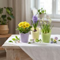 Article Cache-pot jardinière tressée papier vert, jaune, violet Ø7cm H13cm 12pcs