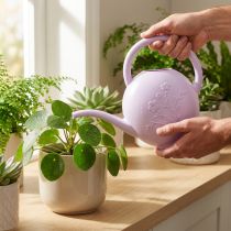 Article Arrosoir décoratif pour plantes d'intérieur, fleurs, lilas, 1,8 L